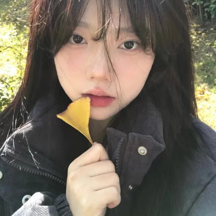 花豹少女队